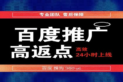 行业内的SEM竞价策略与效果对比案例